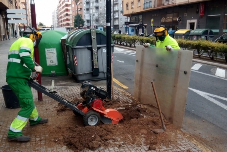 Gandia inicia la campaña de reposición de arbolado en mal estado 2021