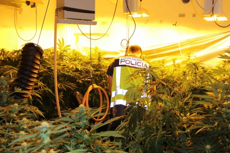 Cuatro personas detenidas y una a prisión por venta de drogas en Gandia