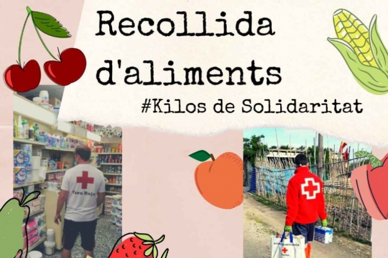 Recogida solidaria de alimentos por las Fallas de Oliva para Cruz Roja