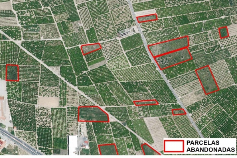 Geolocalización de parcelas abandonadas de cítricos por teledetección