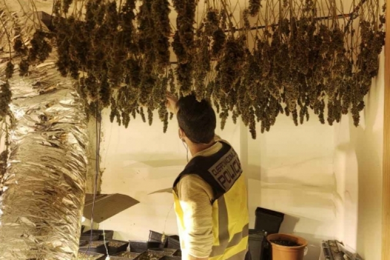 Golpe al tráfico de drogas en Gandia por parte de la Policía Nacional