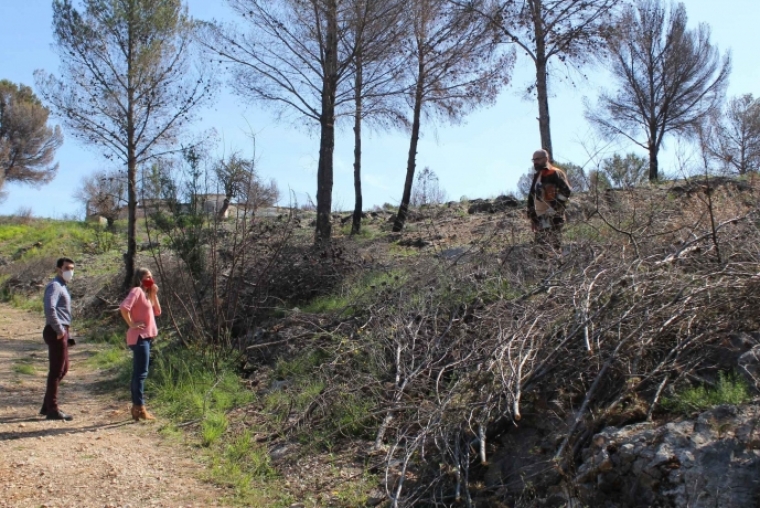 Divalterra y Parques y Jardines de Oliva coordinan la actuación en St. Anna