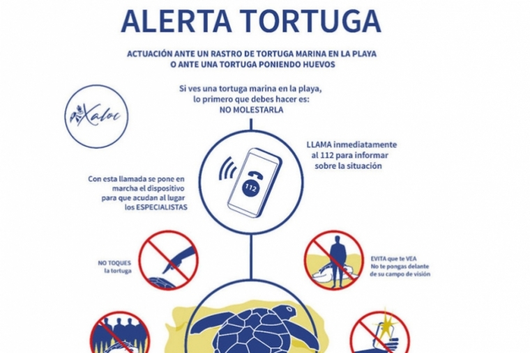 Xeraco y la ONG Xaloc ponen en marcha la campaña Alerta Tortuga