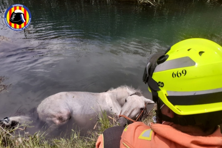 Los Bomberos rescatan un caballo en la Font Salà de Oliva