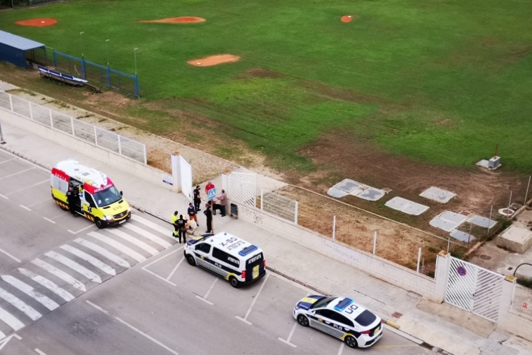 Dos perros se pelean y uno muerde a una persona en la playa de Gandia