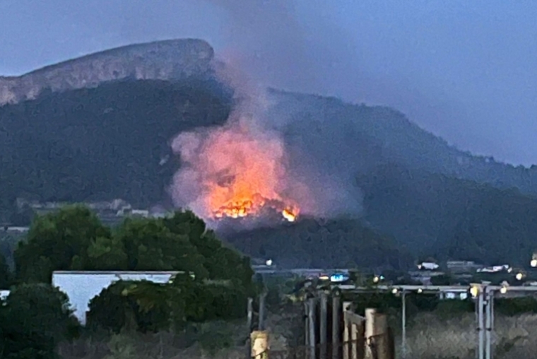 Incendio en la zona de la Cova Negra en Marxuquera de Palma de Gandia