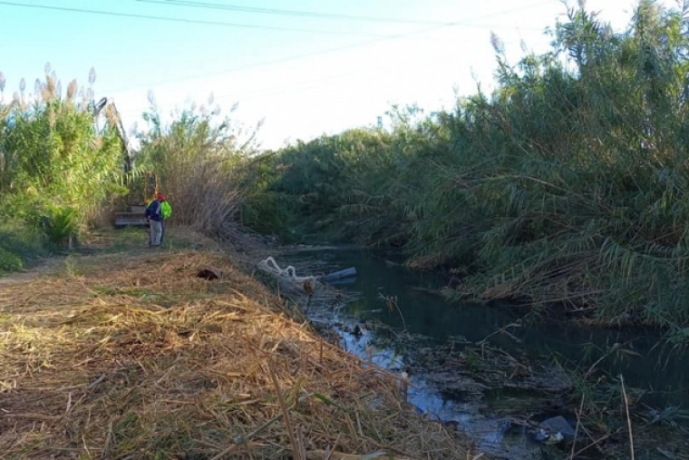 Oliva inicia los trabajos de limpieza y drenaje del Riu Vedat