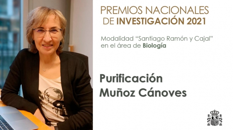 La Dra. Pura Muñoz-Cánoves, de Miramar, Premio Nal. Santiago Ramón y Cajal