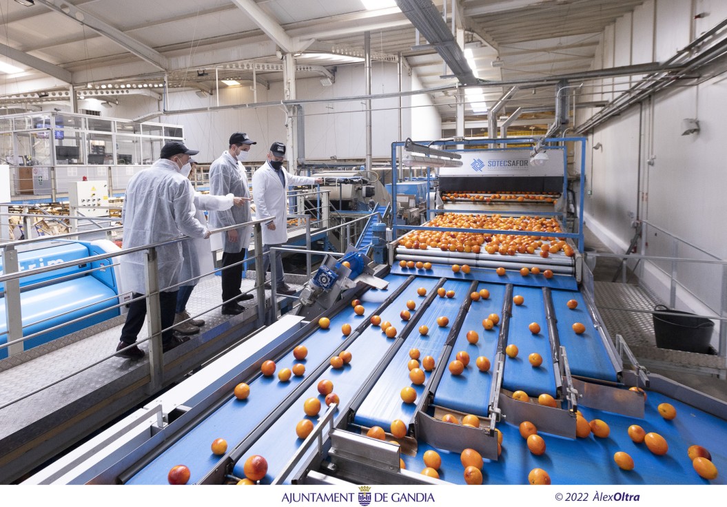 El alcalde de Gandia visita la empresa Brio Fruits en el polígono de El Real