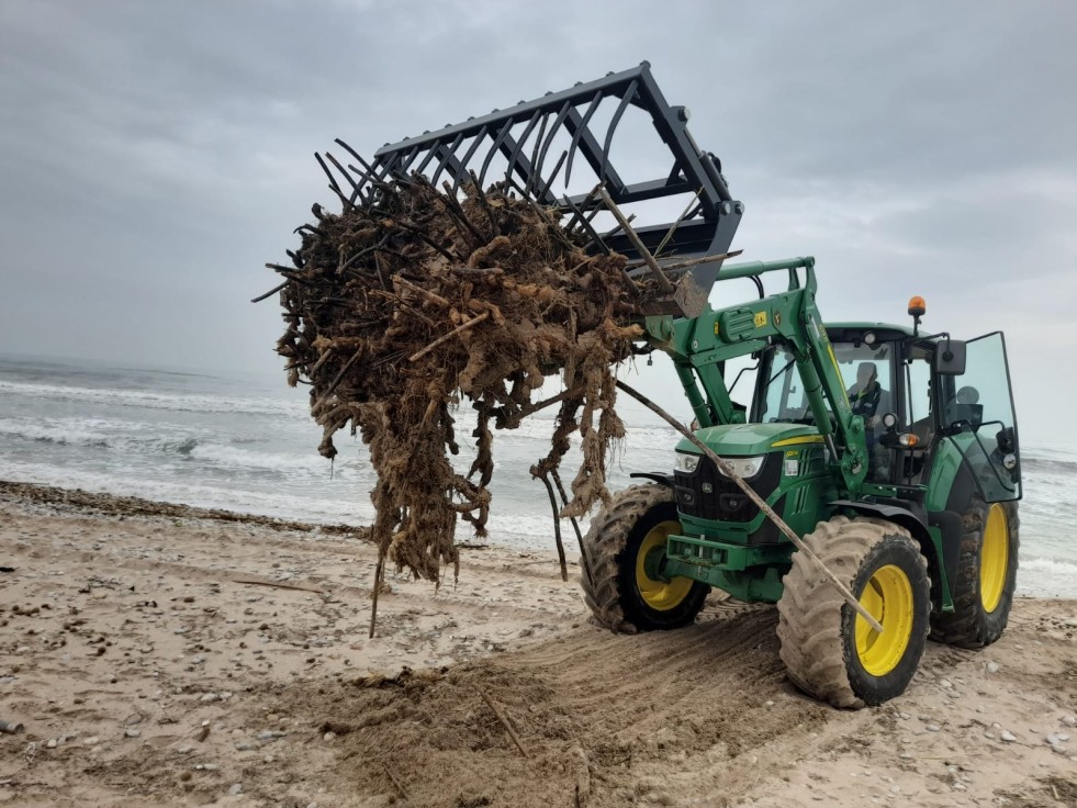 La Diputació de València inicia la limpieza de las playas de Gandia tras el temporal de marzo
