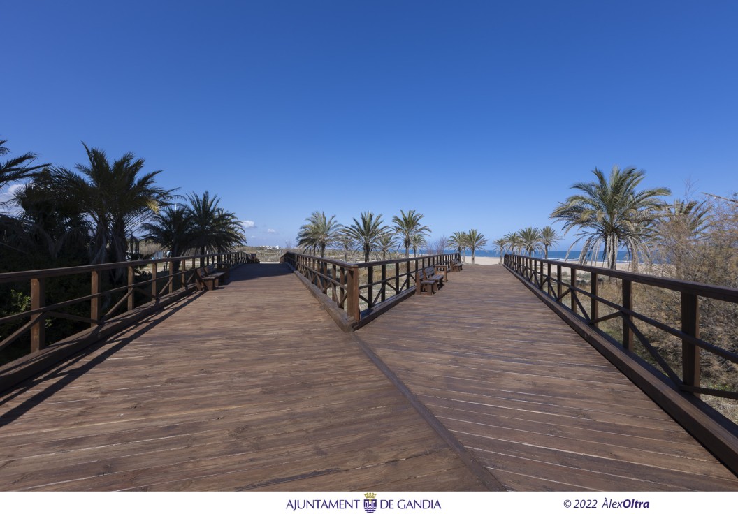 La playa Nord de Gandia revalida el galardón Ecoplayas y el distintivo Sendero Azul