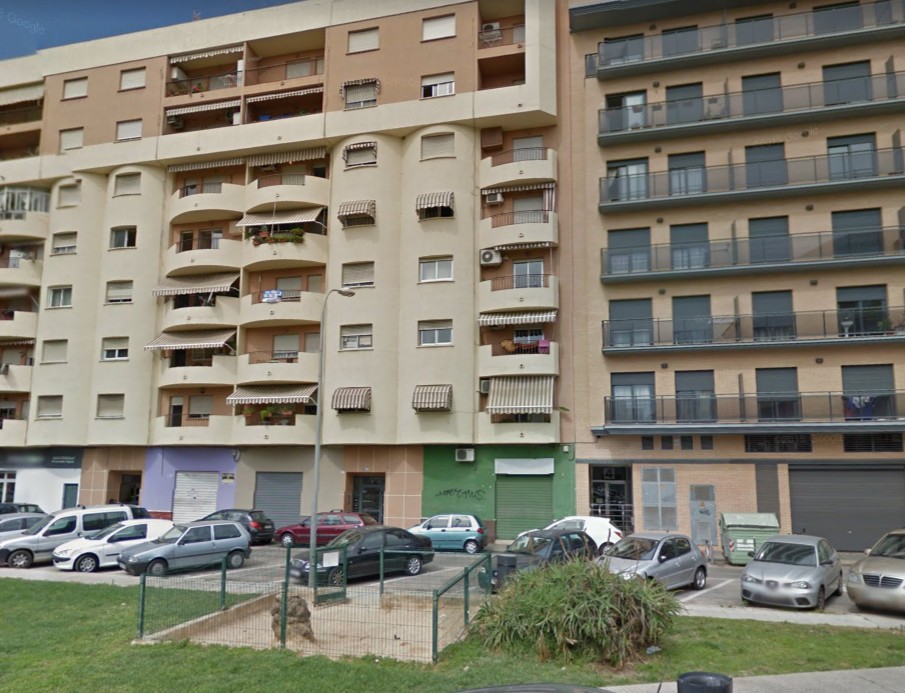 Los ciudadanos son los culpables de que no hayan ''pipi-canes'' en Gandia