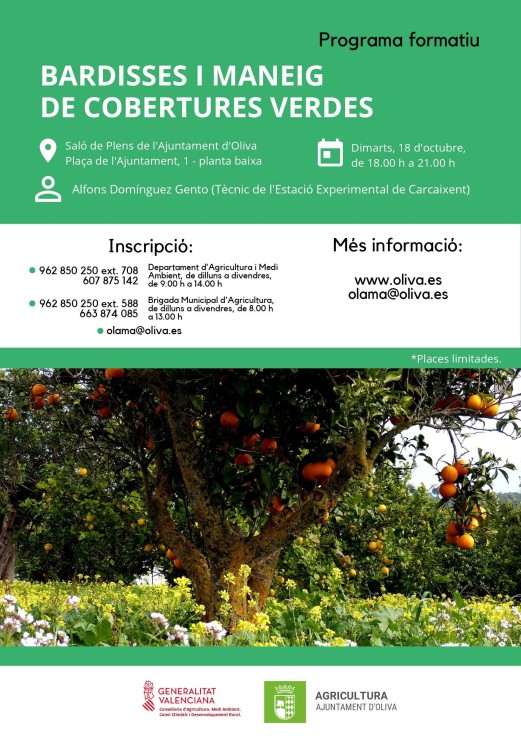 Agricultura de Oliva prepara una jornada formativa sobre setos y cubiertas vegetales
