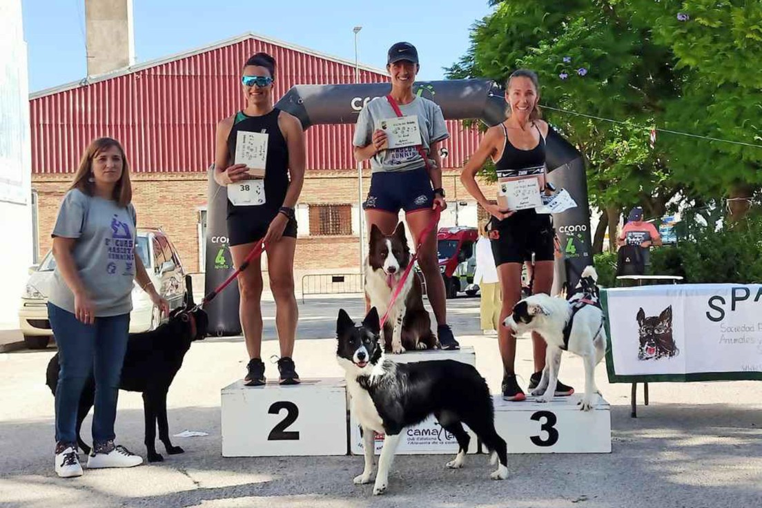 La VIII carrera ''mascota running'' de l'Alqueria de la Comtessa reúne a 170 personas