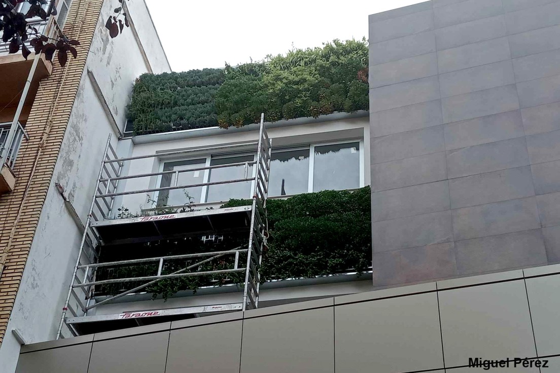 Gandia subvenciona con 100.000 euros la instalación de terrazas vivas y cubiertas verdes