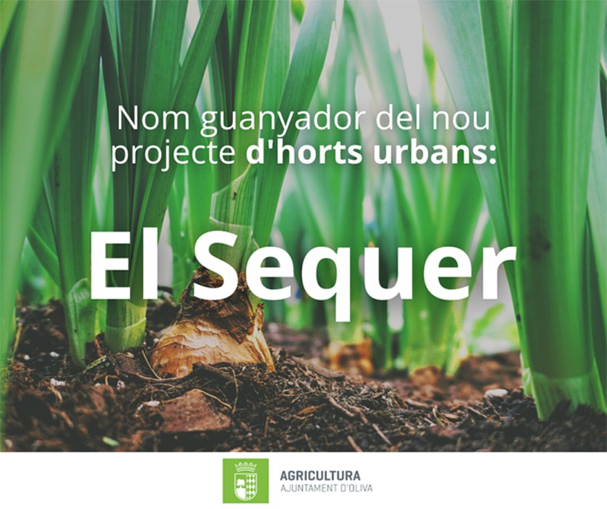 «El Sequer» será el nombre para el proyecto de Huertos Urbanos en Oliva