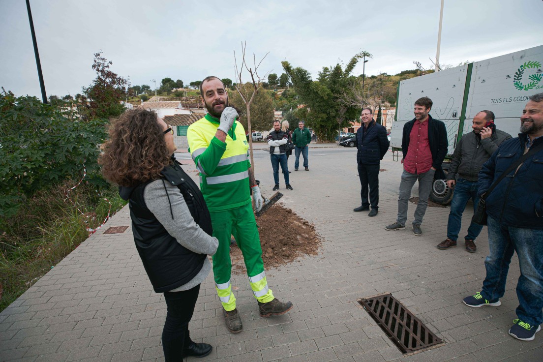 Gandia inicia la nueva fase del Plan de Sombras plantando 300 árboles