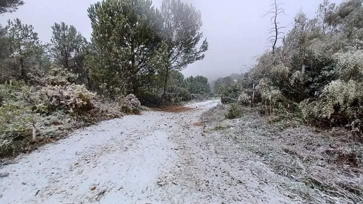 El Cim de la Safor y Villalonga congregan a centenares de personas para ver la nieve