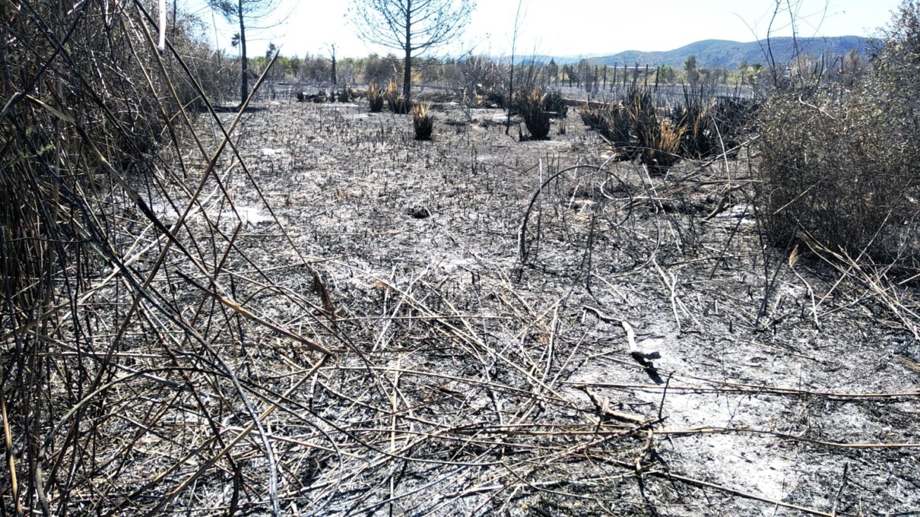 Un fin de semana con dos incendios en la Safor