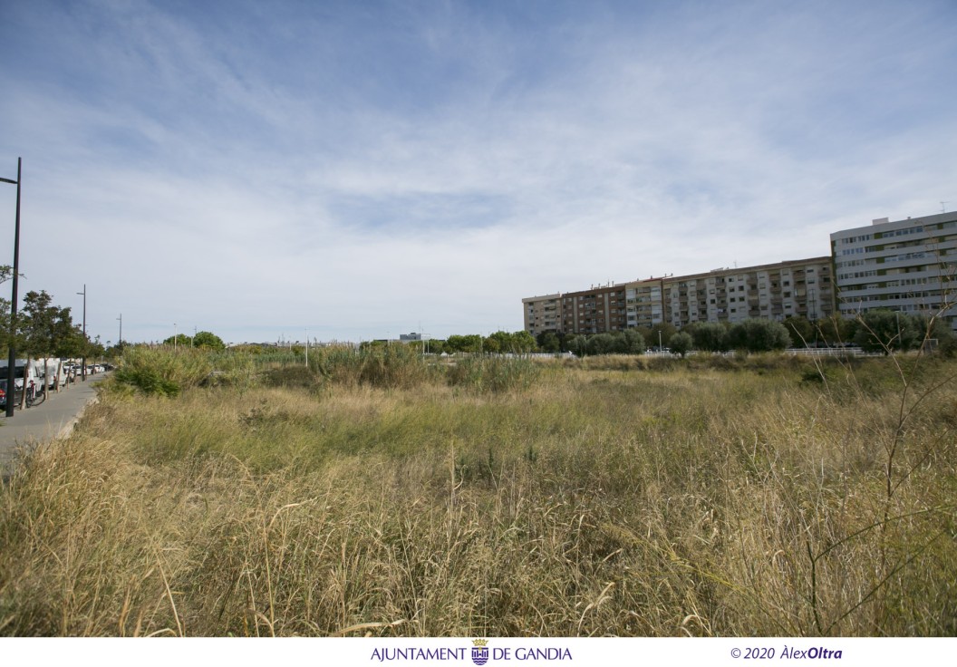 El Consell adjudica el concurso de derecho de superficie de 106 viviendas de alquiler en Gandia