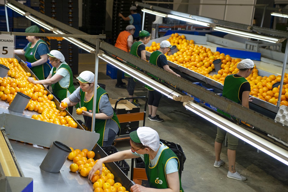 Guillem Export de Xeresa y frutas Tono de Benifairó se fusionan