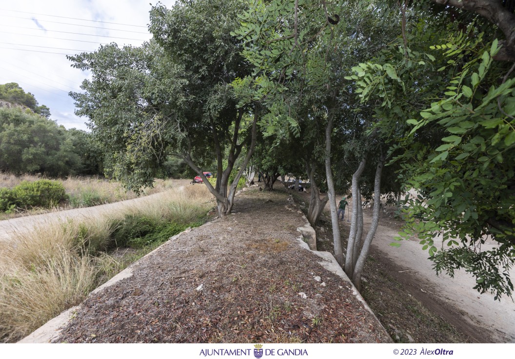 Las obras para mejorar espacios naturales y rurales en Gandia  continúan gracias a la ayuda del SEPE