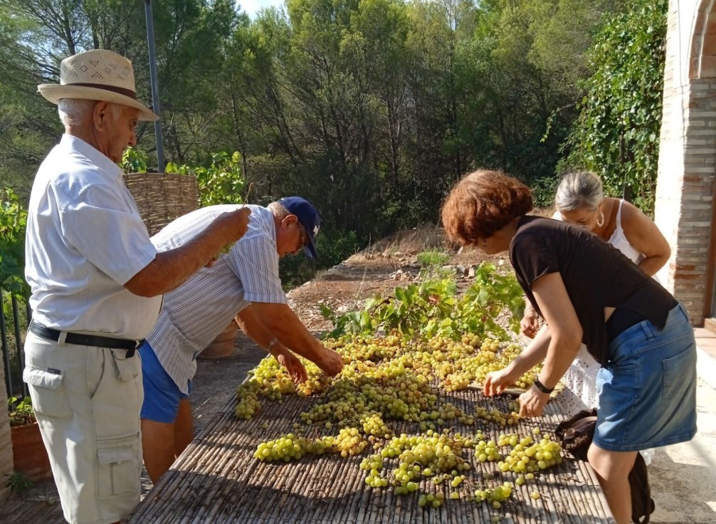 Ròtova celebra este domingo por tercer año consecutivo la fiesta de la 'escaldà'