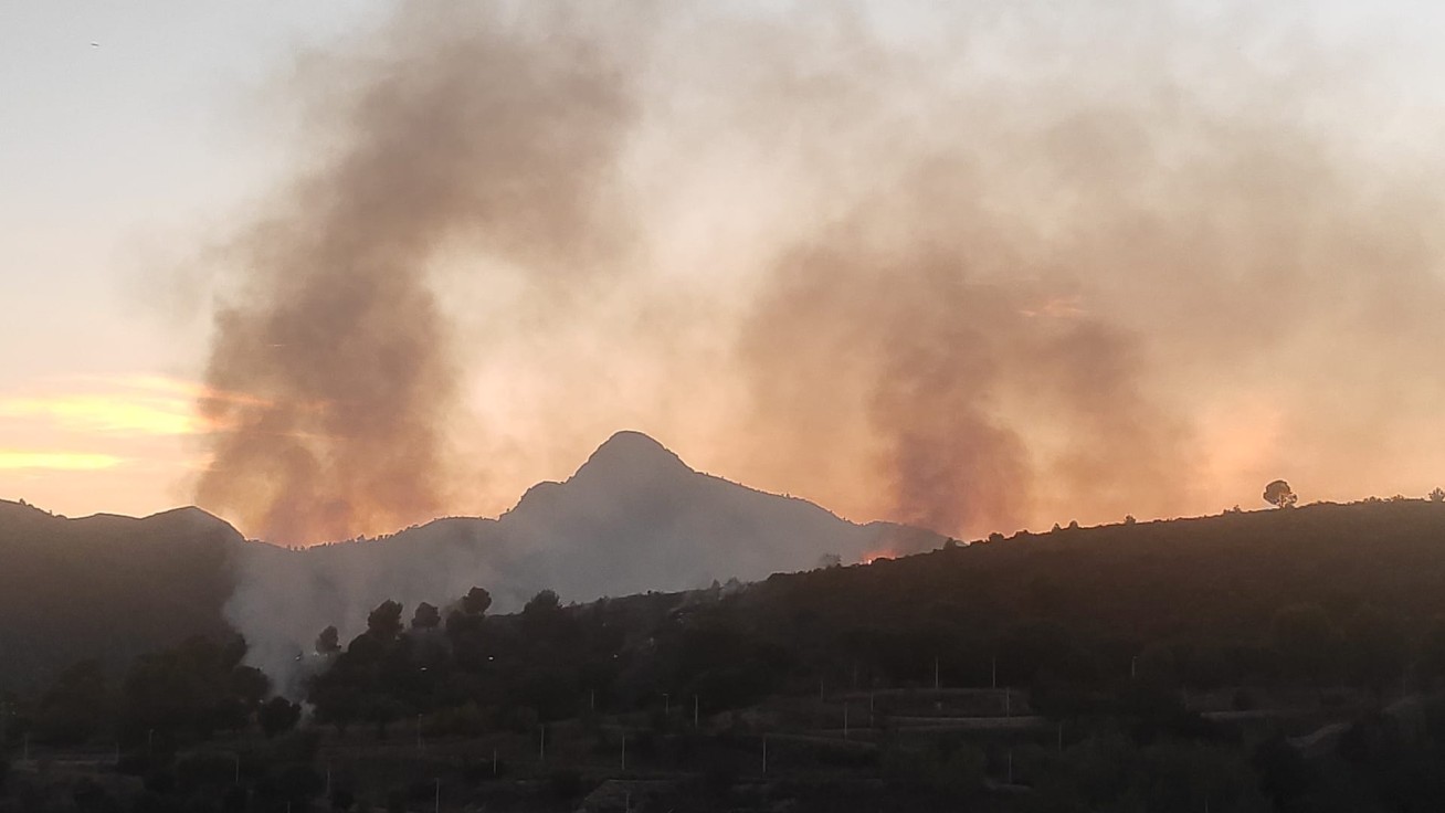 Incendio forestal en la zona de Santa Anna de Gandia