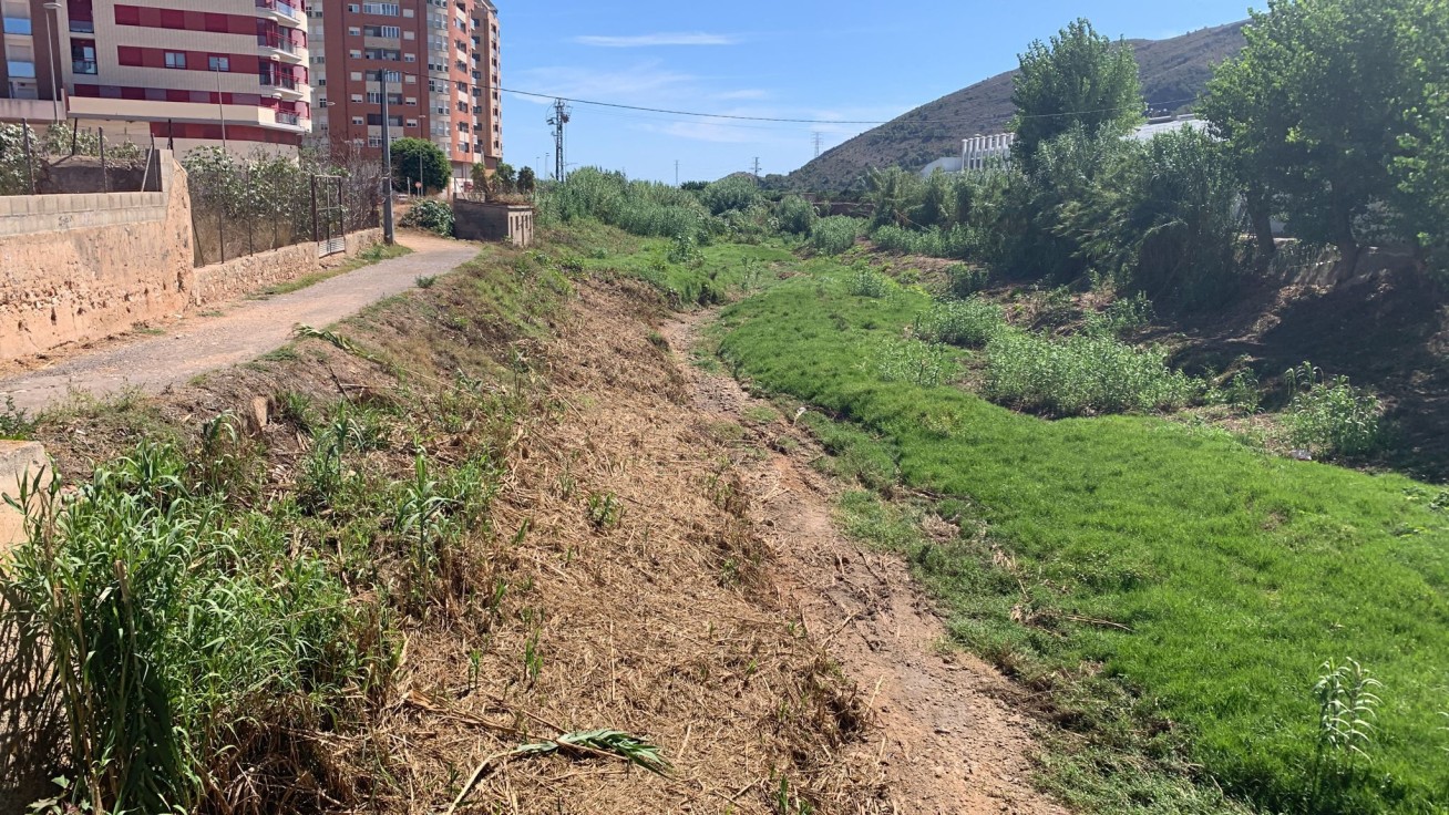 Tavernes limpia ríos, barrancos y alcantarillas ante la previsión de lluvias torrenciales