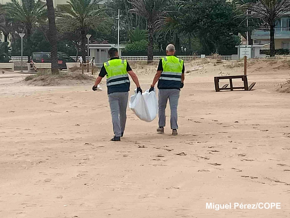 El IML de València intentará esclarecer a quién pertenece la pierna hallada ayer en la playa de Gandia