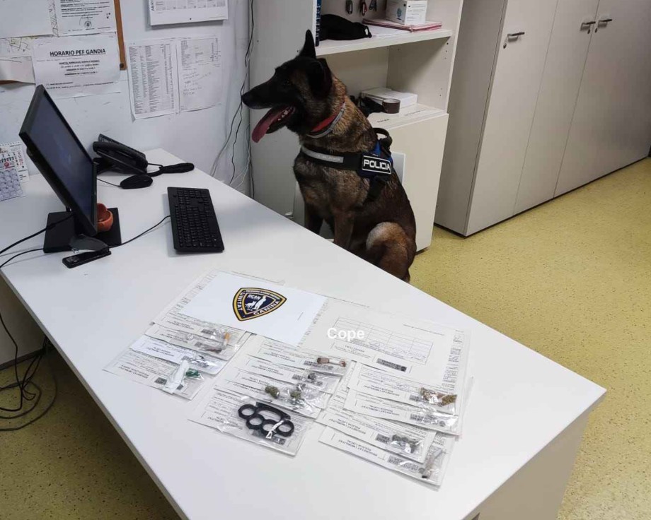 Gandia elimina la Unidad Canina de la Policía Local tras tres años sin abonar un euro