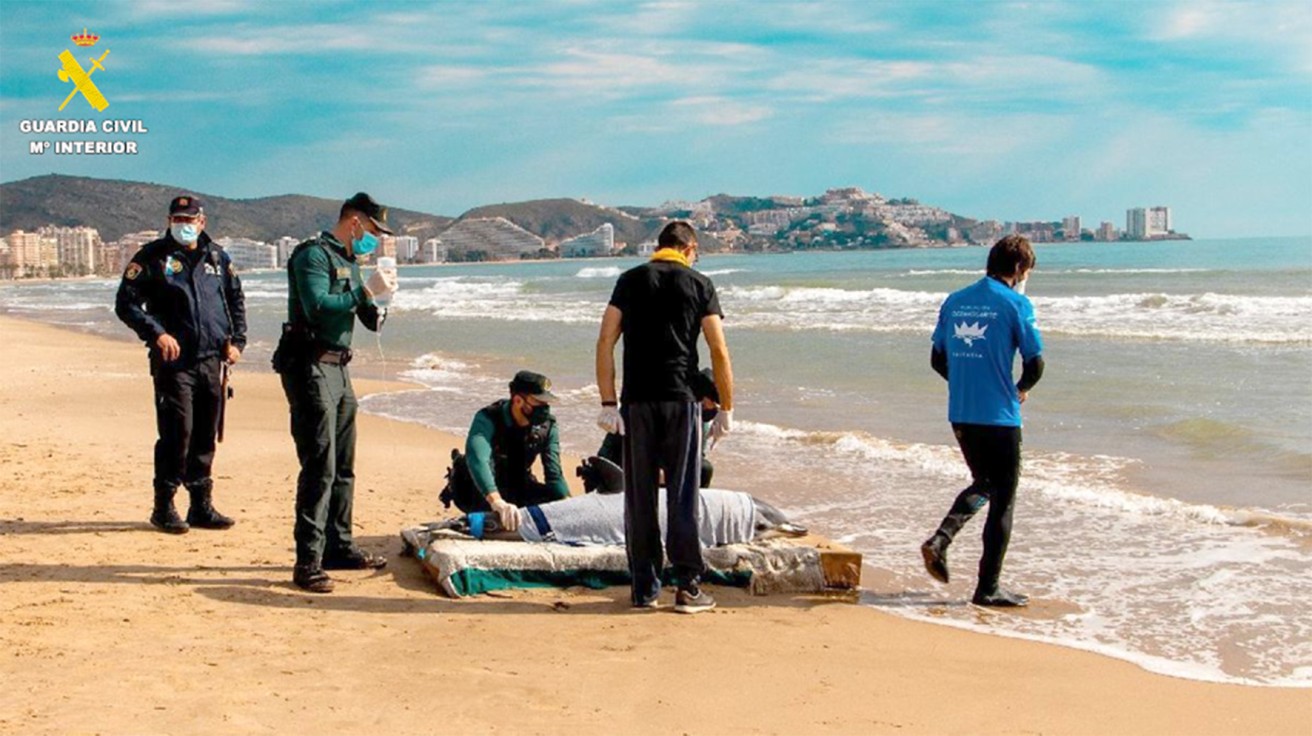 La Guardia Civil y la Universidad de Valencia comprometidos con la fauna marina en un curso sobre cetáceos y tortugas