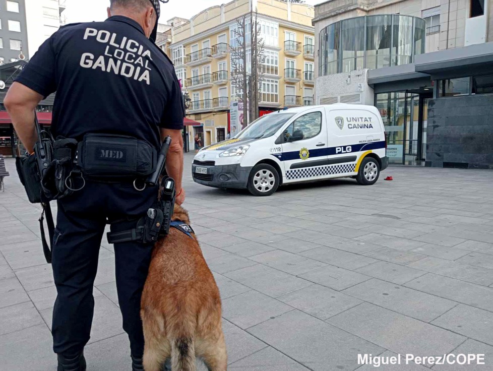 El Partido Popular pide una solución para la Unidad Canina de la Policía Local de Gandia