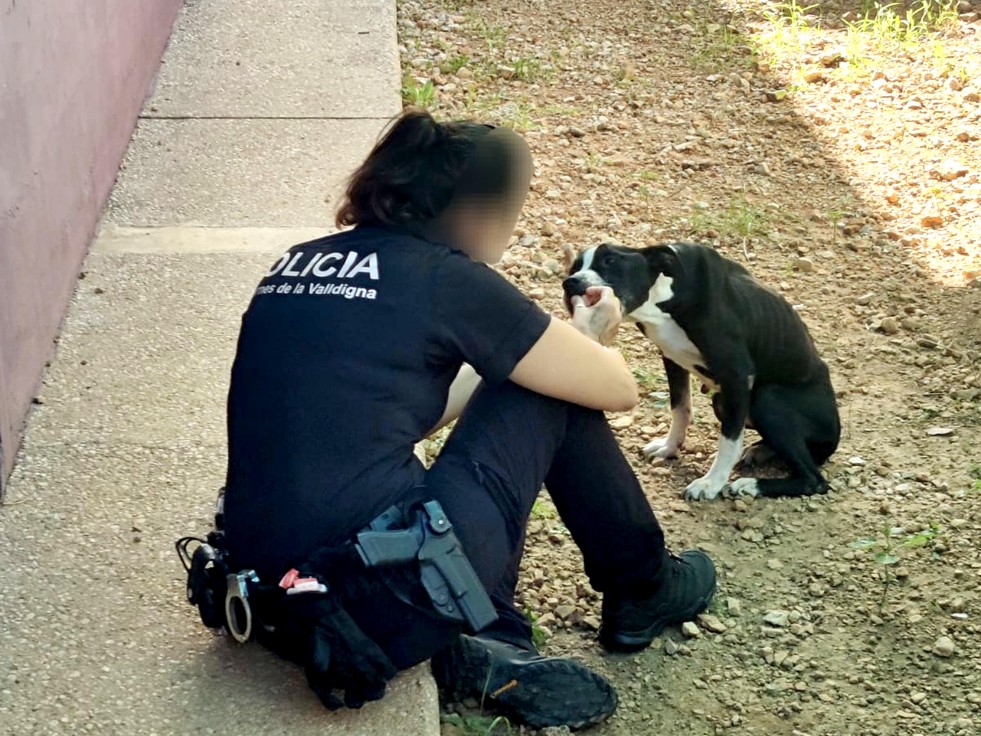 Agentes de la Policía Local de Tavernes salvan la vida a un perro abandonado por su propietario