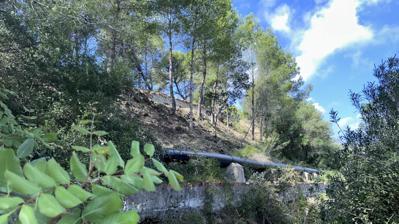 Rótova realiza trabajos forestales de prevención y protección en la Serreta