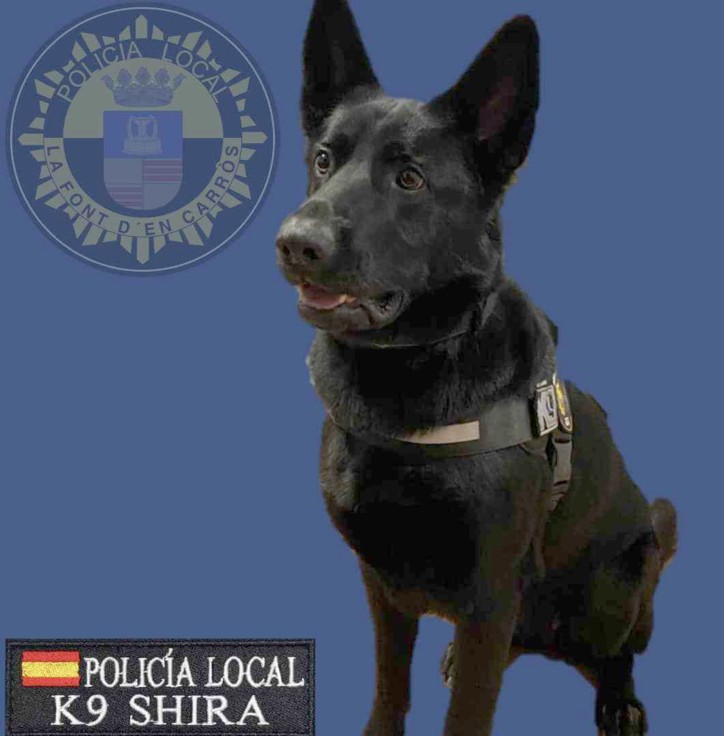 La Policía Local de la Font d'en Carròs crea con Shira la Unidad Canina