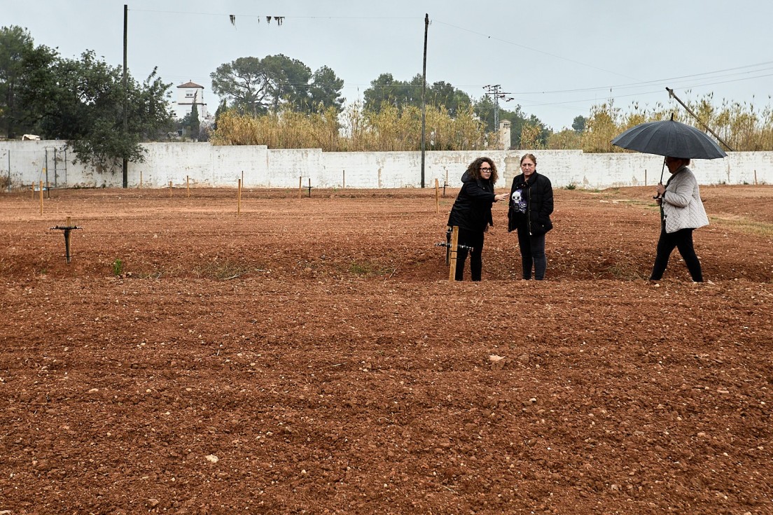 Gandia entrega en Santa Anna los 44 huertos sociales ecológicos sorteados