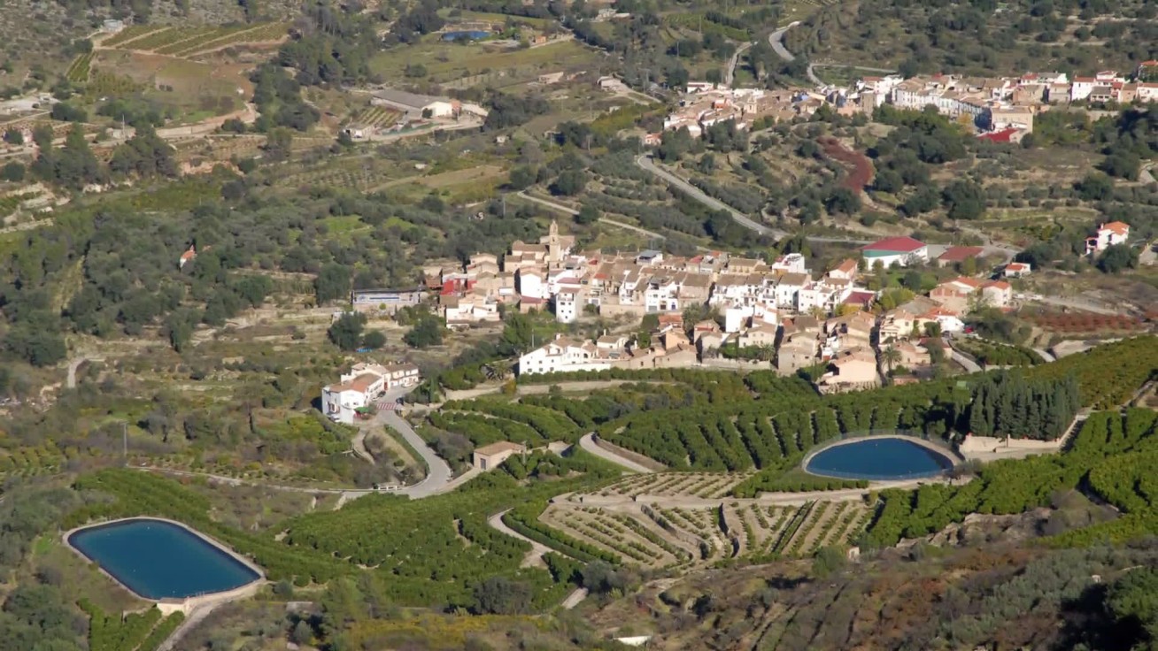 La Fiscalía investiga una donación curiosa de la directora del IVAM a Todolí Citrus de Palmera