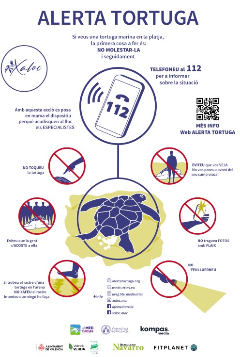 Gandia se suma a la campaña ‘Alerta tortuga’ de la ONG Xaloc y la Universitat de València en las playas