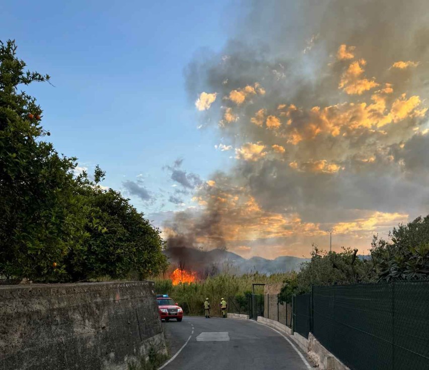 Un incendio en el cauce del Serpis en Beniflà movilizaba ayer tarde-noche a Bomberos y Forestales