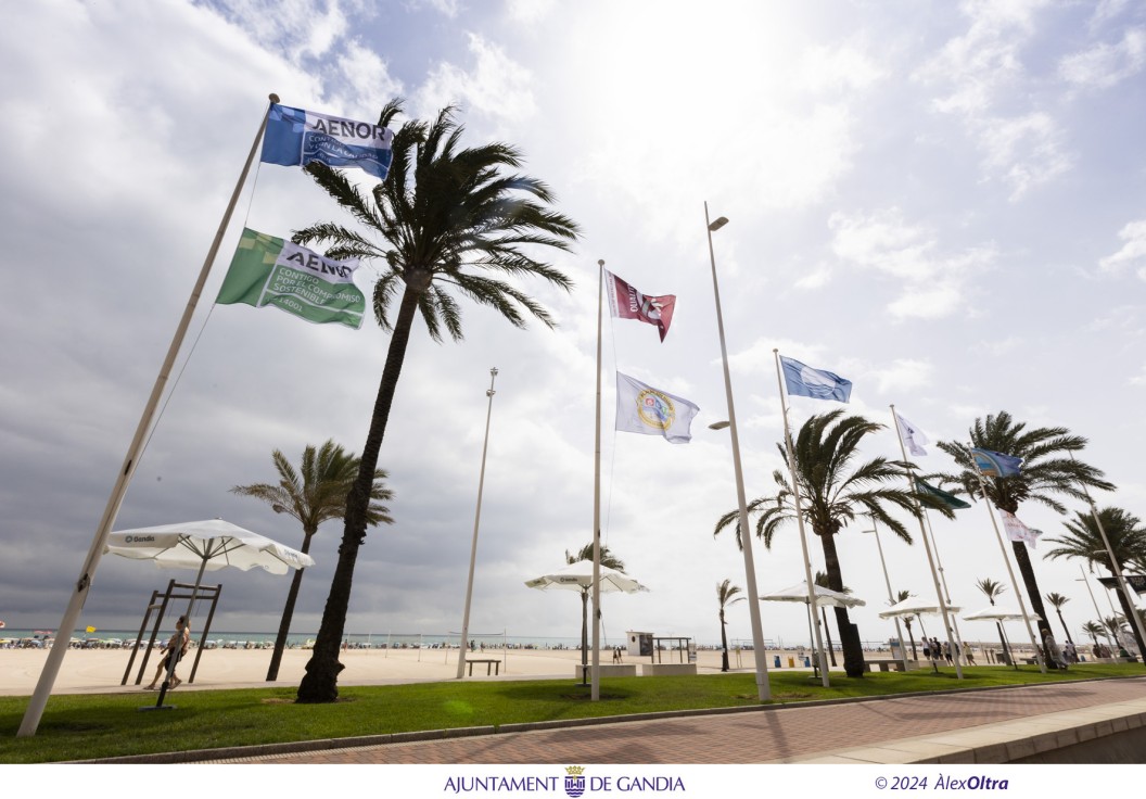 La playa de Gandia iza las banderas que la sitúan como referente por su calidad ambiental y sus servicios