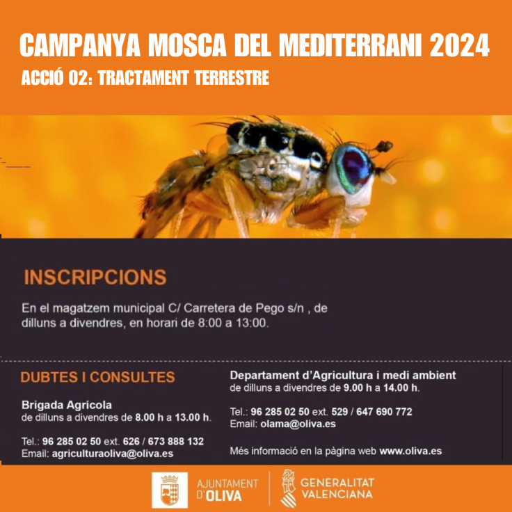 Empieza la segunda actuación de la campaña contra la Mosca del Mediterráneo 2024