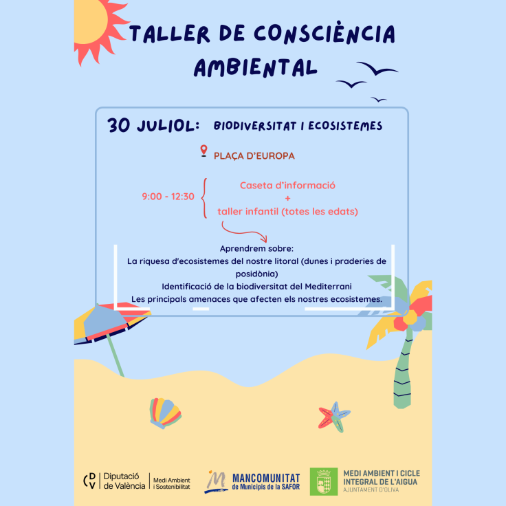 El Taller de Conciencia Ambiental llega a la Playa de Oliva para educar sobre la biodiversidad litoral
