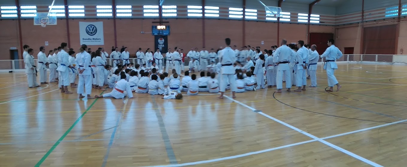 Exhibición de karate