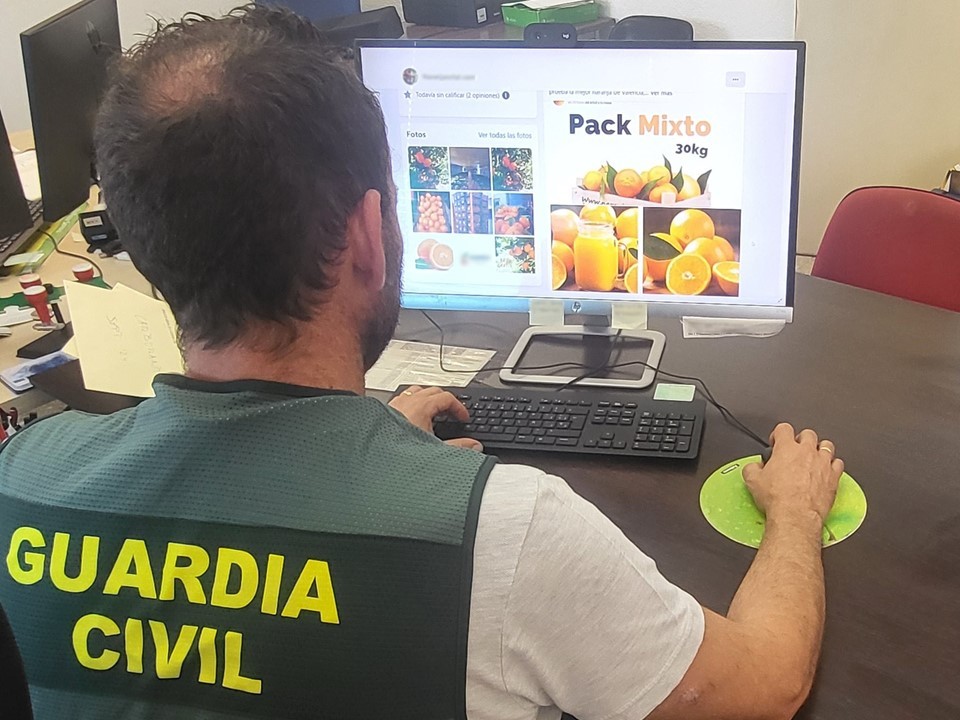 La Guardia Civil investiga a un administrador de una empresa de Gandia por seis delitos de estafa en la compra fraudulenta de naranjas