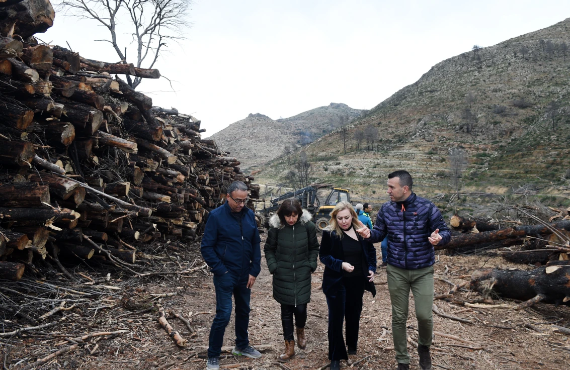 La Diputación concluirá en dos meses el grueso de los trabajos de regeneración forestal tras el incendio de Montitxelvo