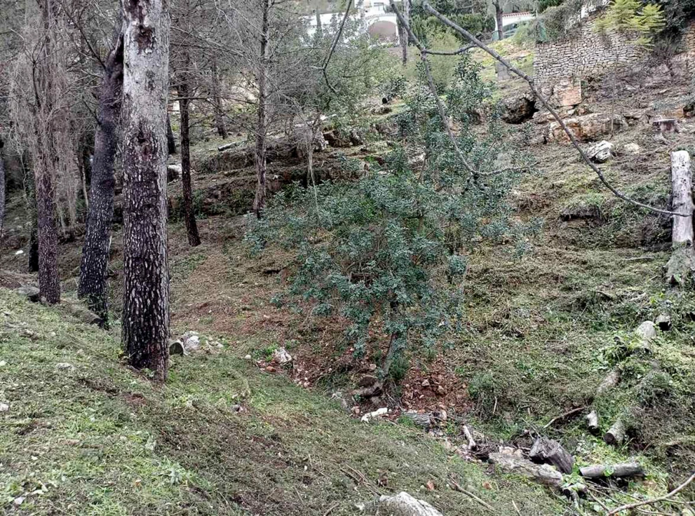 El Real de Gandia refuerza las acciones de prevención de incendios forestales