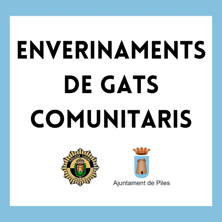 Piles pide ayuda vecinal tras el envenenamiento de gatos en el municipio y en la playa