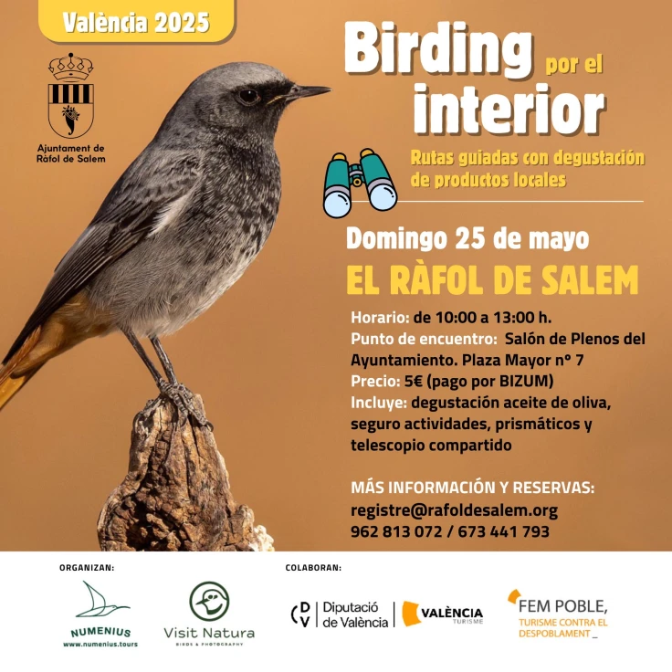 La Diputació de València pone en marcha una nueva edición del programa ‘Birding per l’interior’