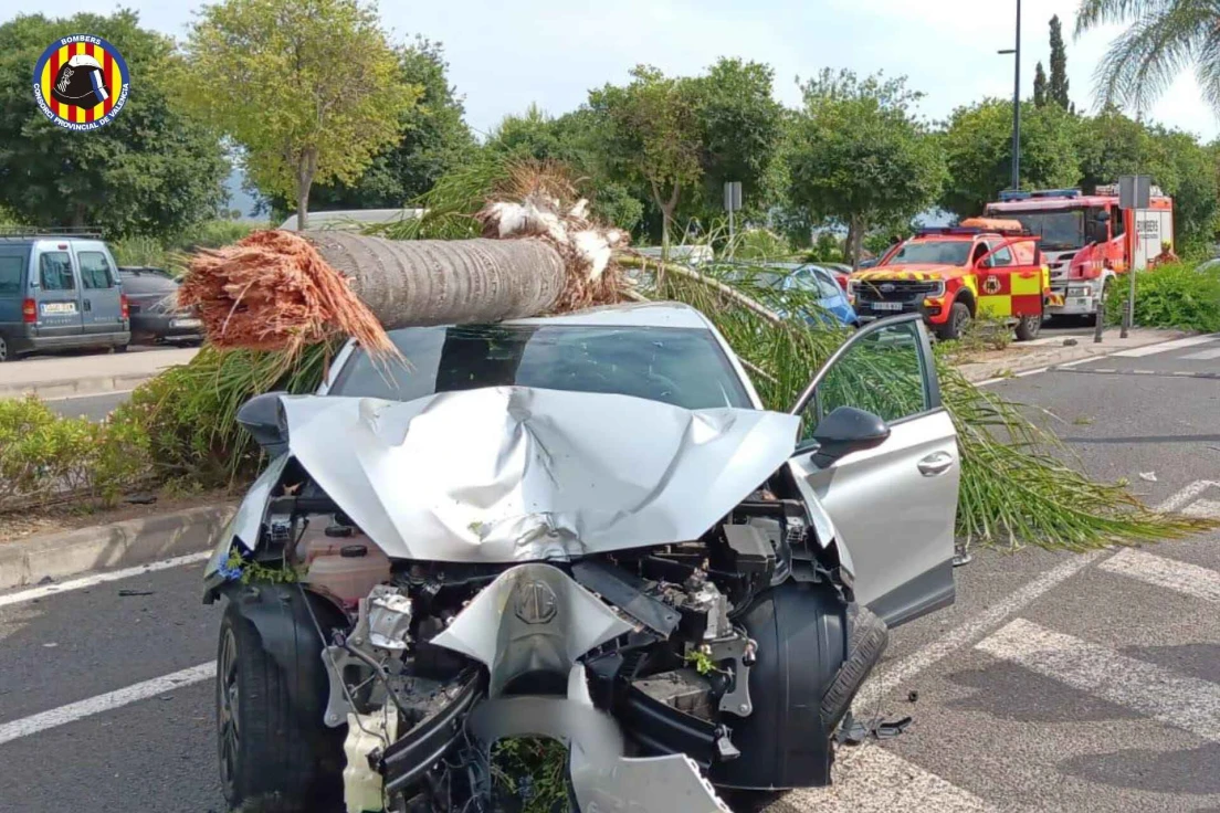 Una mujer herida al colisionar con su coche contra una palmera en la Ronda de l'Anella de Gandia